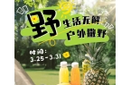 华豫佰佳|生活无解？那就去户外撒野吧！